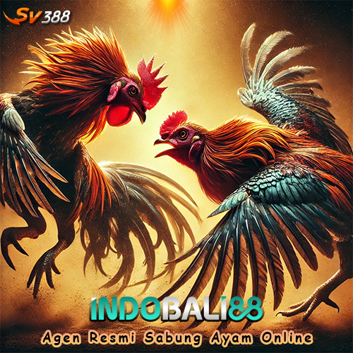 SABUNG AYAM ONLINE 
